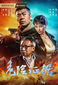 Dangerous Evidence Movie Poster, 危险证据, 2024 film, Chinese movie