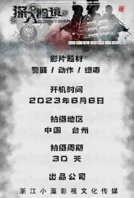 Go Deep into Danger Movie Poster, 深入险境, 2024 Film, Chinese movie