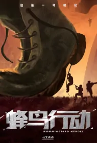 Hummingbird Heroes Movie Poster, 蜂鸟行动, 2024 film, Chinese movie