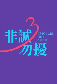 If You Are the One 3 Movie Poster, 非诚勿扰3  2024 film, Chinese movie