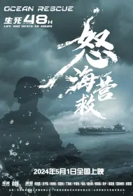 Ocean Rescue Movie Poster, 怒海营救, 2024 film, Chinese movie