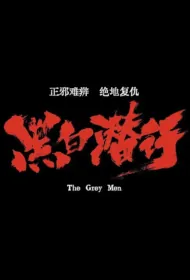 The Grey Men Movie Poster, 黑白潜行, 2024 Film, Chinese movie